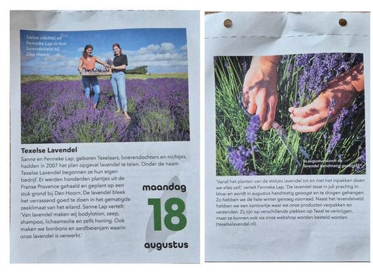 Texelse Lavendel gespot!