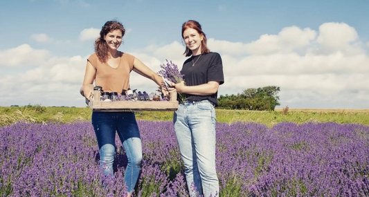 Een nieuw hoofdstuk voor Texelse Lavendel